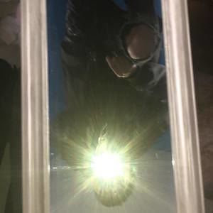 Meet your Posher, Dominic